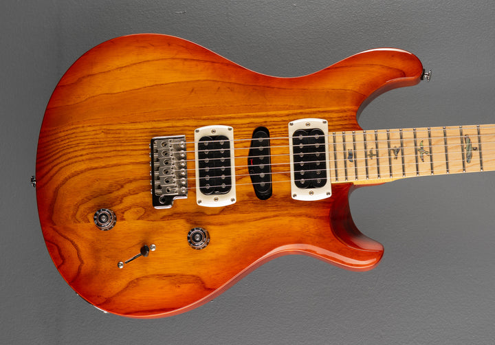SE Swamp Ash Special &