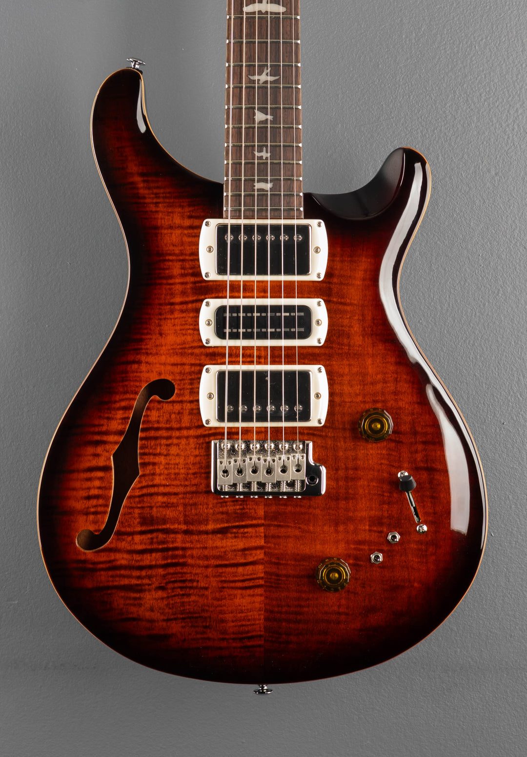 SE Special Semi Hollow, &