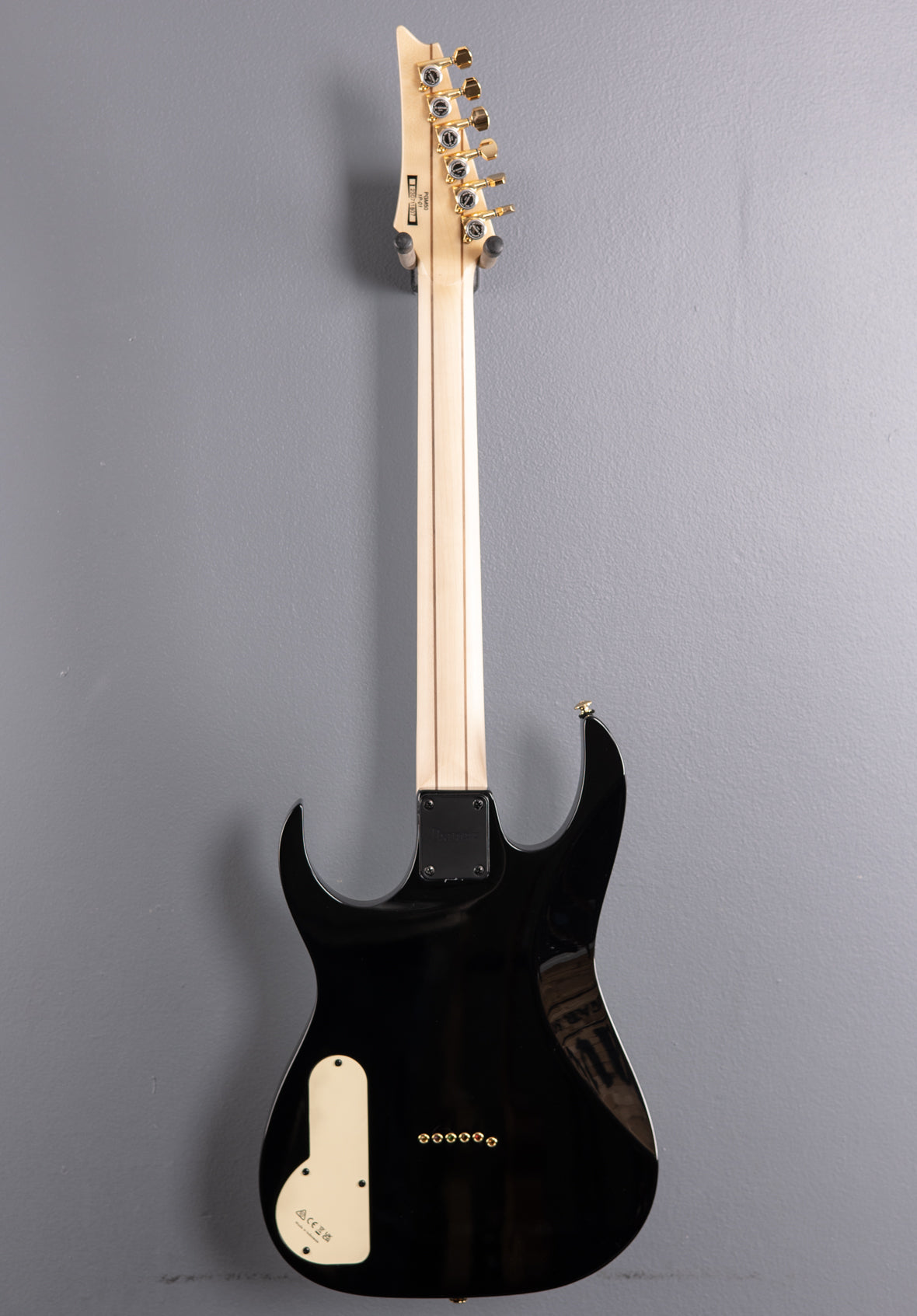 Paul Gilbert Signature PGM50 - Black – Dave's Guitar Shop