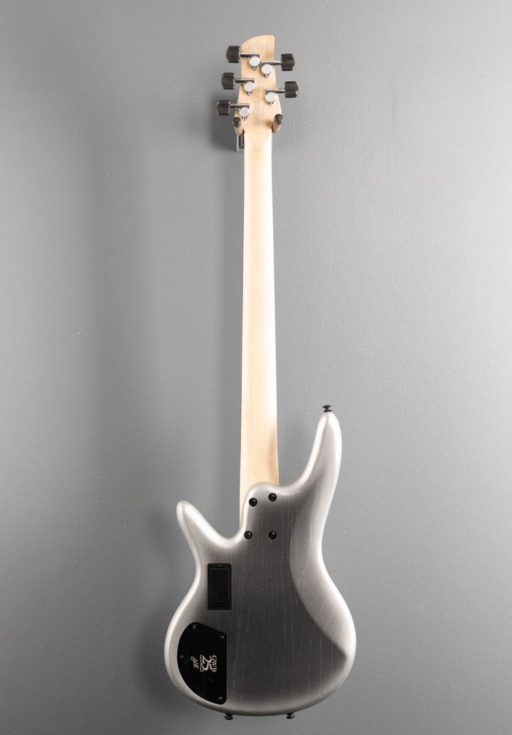 Gary Willis Signature GWB25TH 5 String Bass - Silver Wave Burst Flat