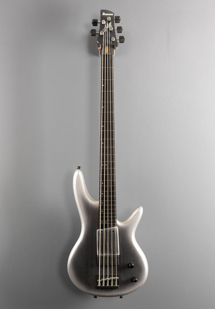 Gary Willis Signature GWB25TH 5 String Bass - Silver Wave Burst Flat
