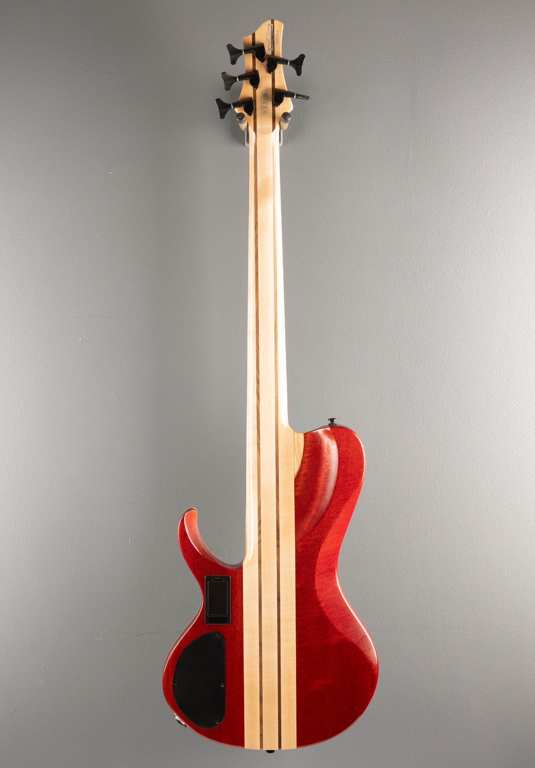 Bass Workshop BTB865SC - Weathered Black Low Gloss