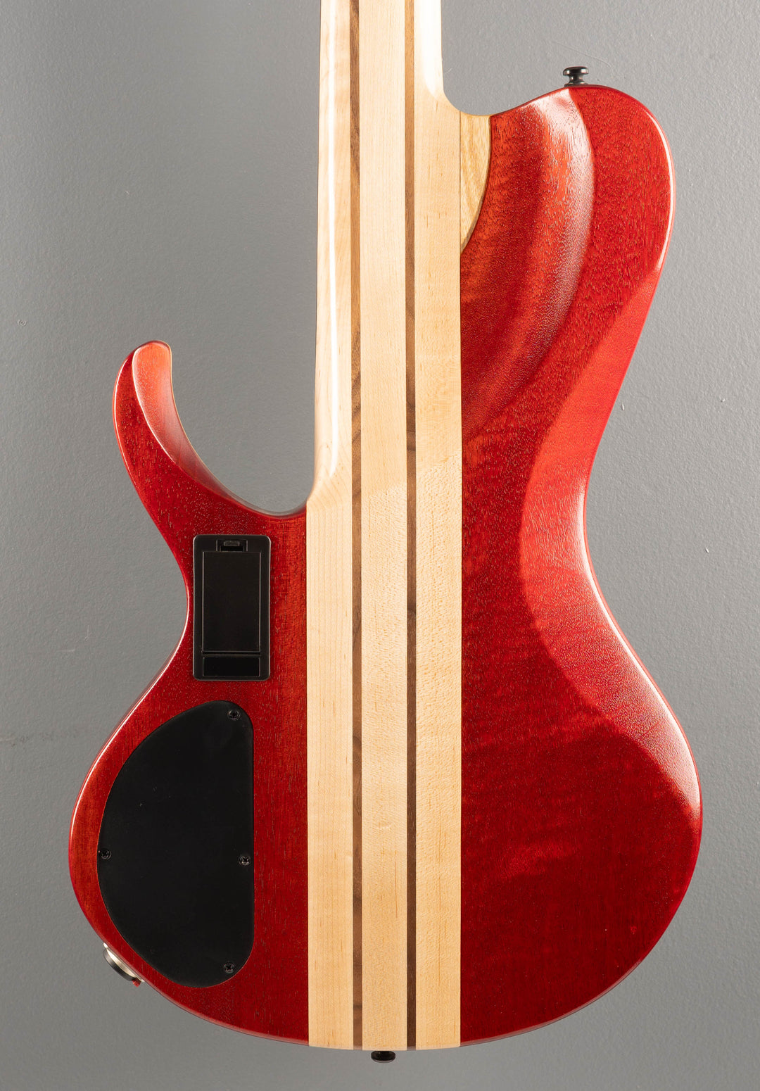 Bass Workshop BTB865SC - Weathered Black Low Gloss