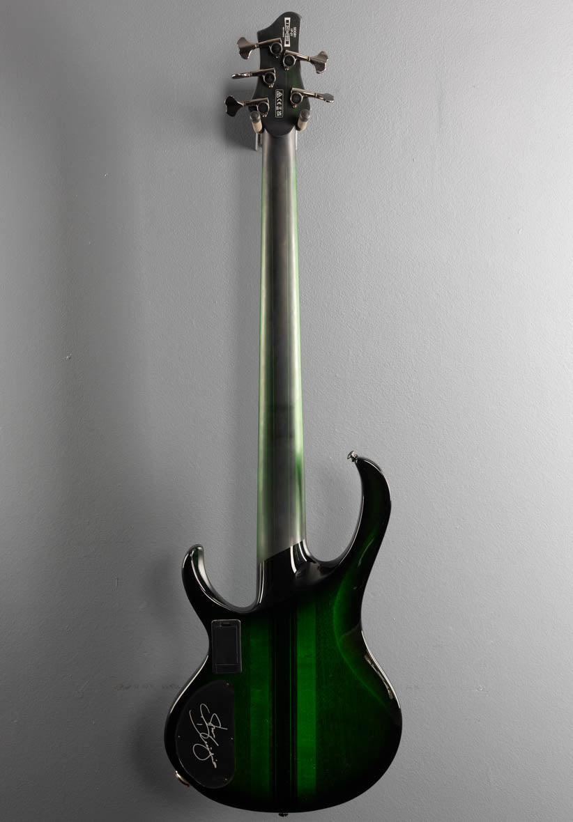 Steve Di Giorgio SDGB1 Fretless Bass - Dark Moss Burst – Dave's