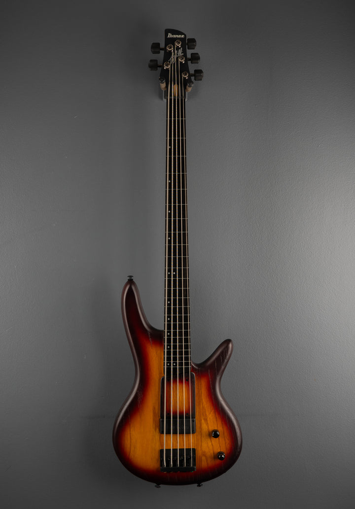 Gary Willis GWB205 5 String Fretless Bass - Tequila Sunrise Flat