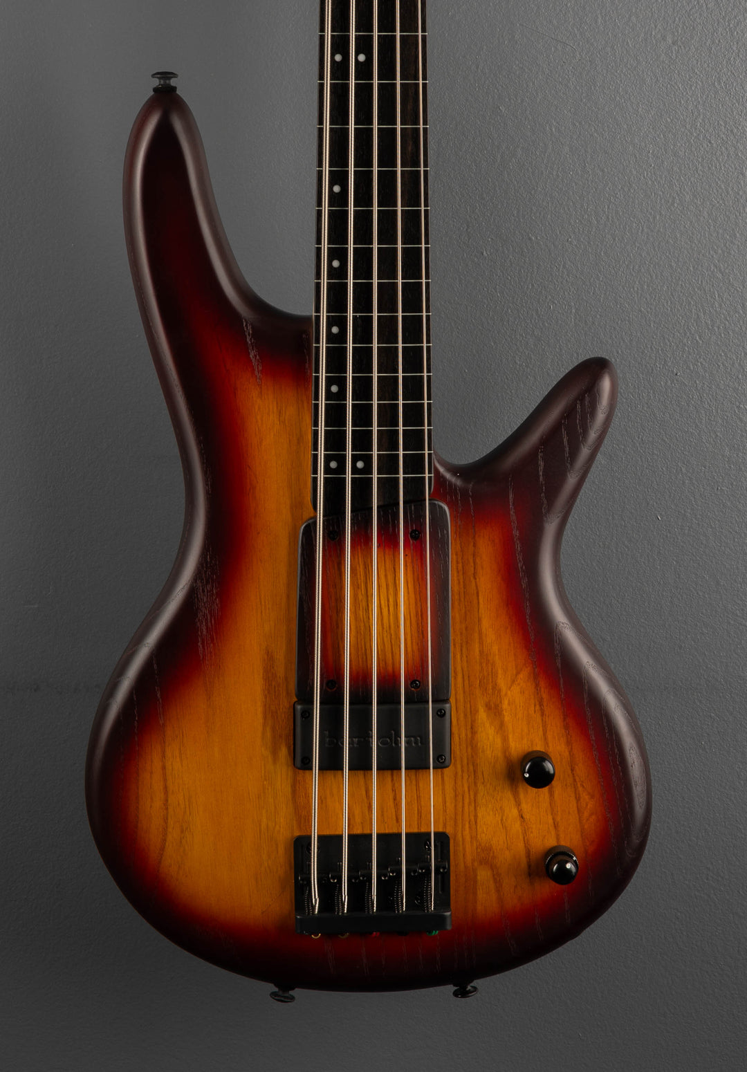 Gary Willis GWB205 5 String Fretless Bass - Tequila Sunrise Flat