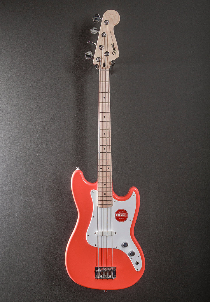 Sonic Bronco Bass - Tahitian Coral w/Maple