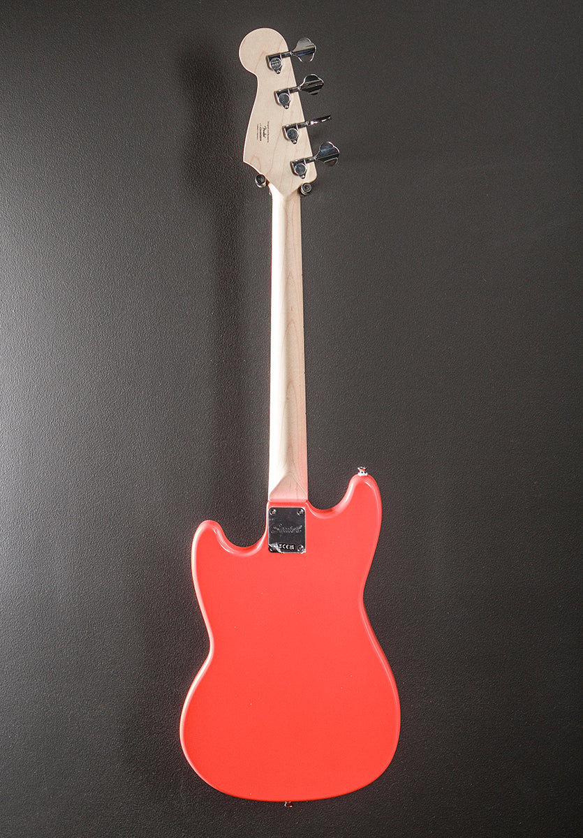 Sonic Bronco Bass - Tahitian Coral w/Maple