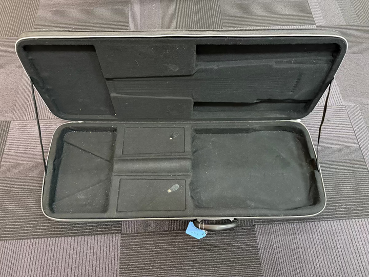 Strat/Tele Semi-Hard Case, Recent