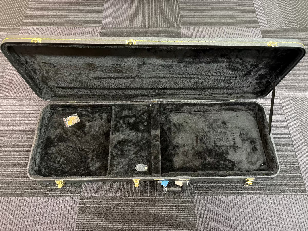 Strat/Tele Case, Recent