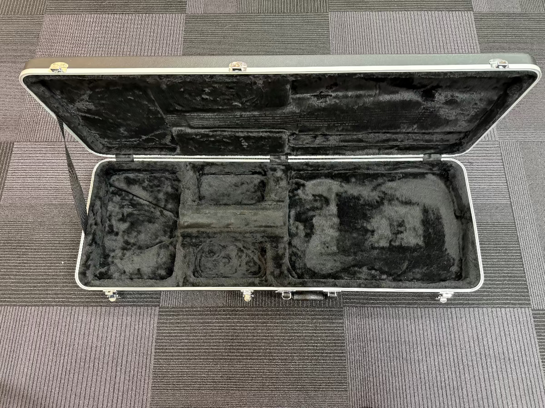 Multi-Fit Electric Case, Recent