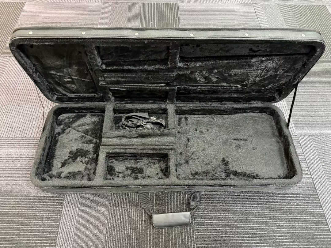 Multi-Fit Electric Case, Recent