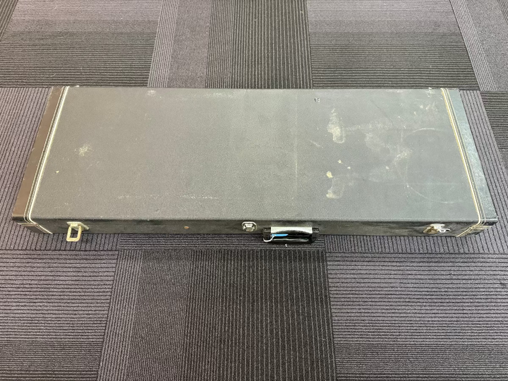 Multi-Fit Electric Case, Recent