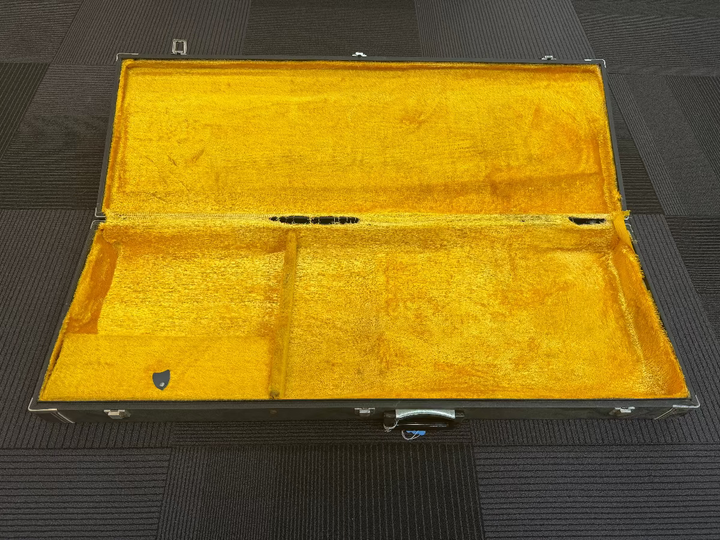 Multi-Fit Electric Case, Recent