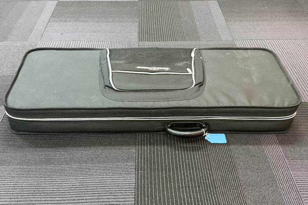 Strat/Tele Semi-Hard Case, Recent