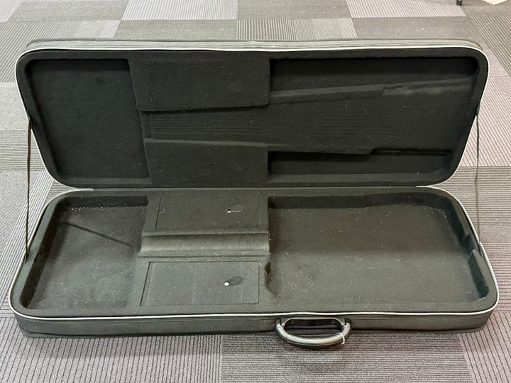 Strat/Tele Semi-Hard Case, Recent