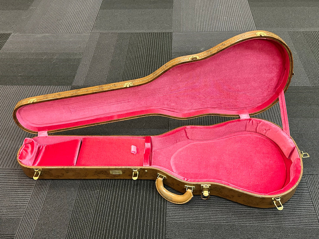Aged Lifton Historic Les Paul Case, Recent