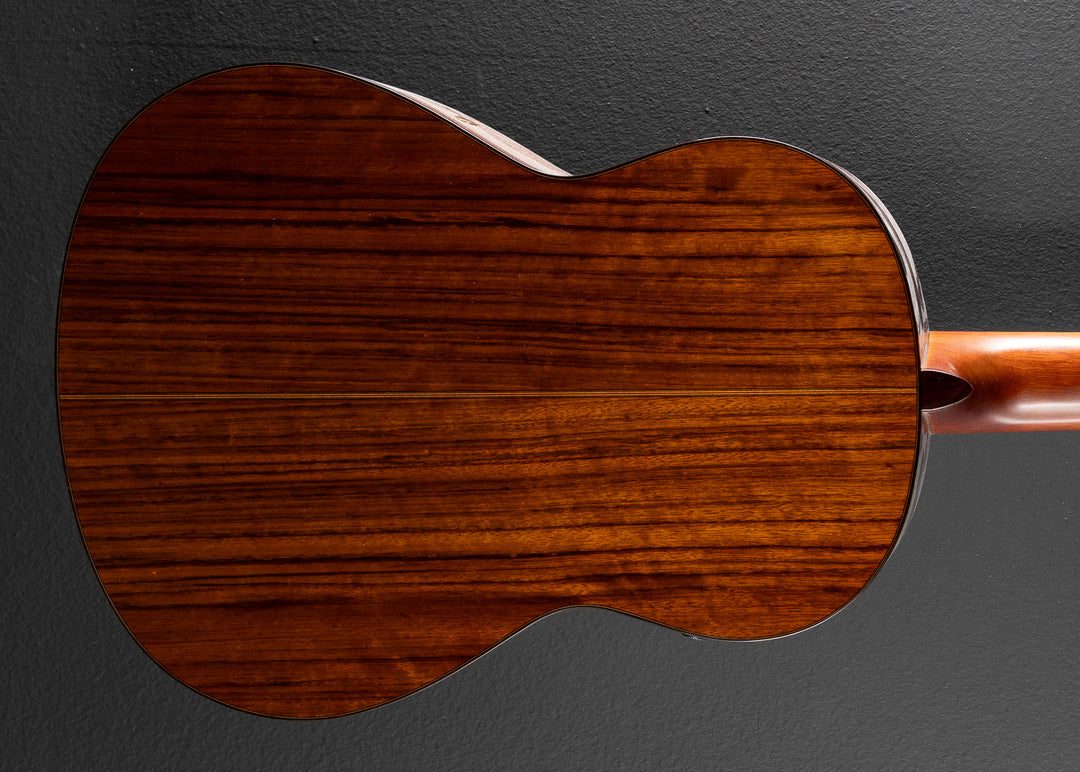 CG-TA TransAcoustic, Recent
