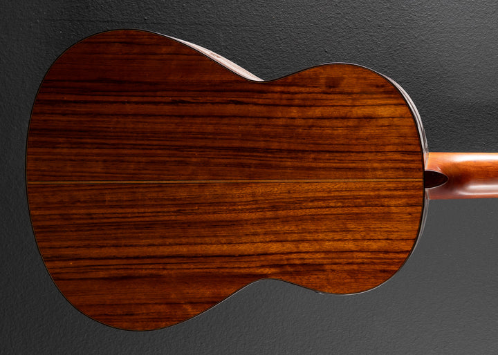 CG-TA TransAcoustic, Recent