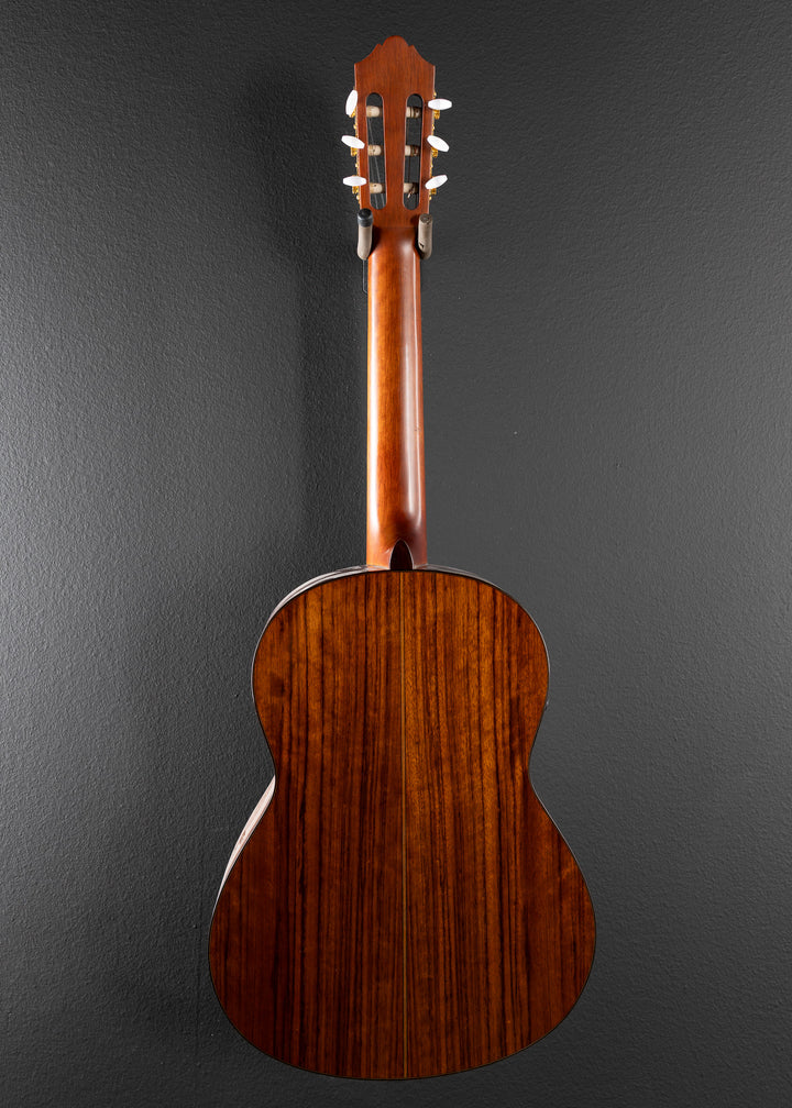 CG-TA TransAcoustic, Recent