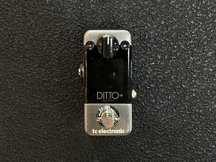 Ditto+, Recent
