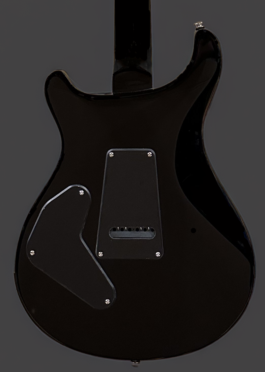 SE Custom 24 Semi Hollow Piezo  '24