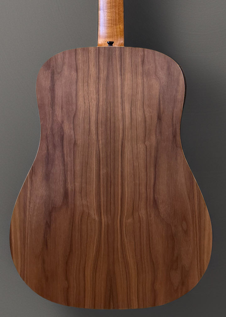 Big Baby Taylor (BBTe)