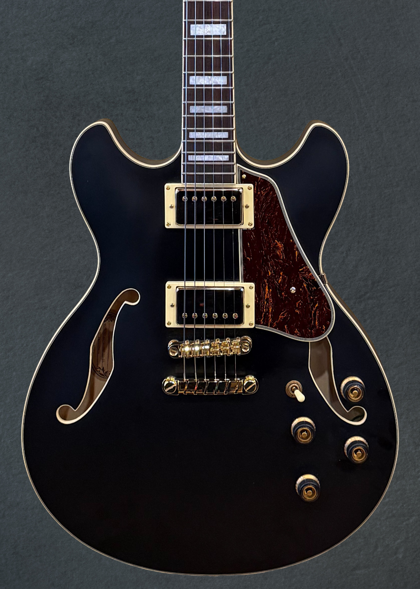 AS73G Semi-hollowbody, Recent
