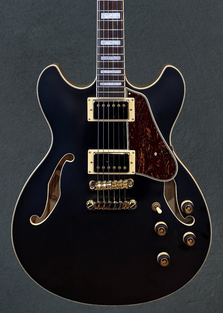 AS73G Semi-hollowbody, Recent