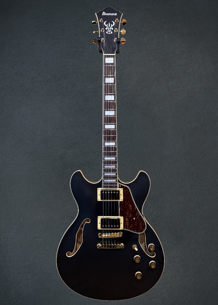 AS73G Semi-hollowbody, Recent
