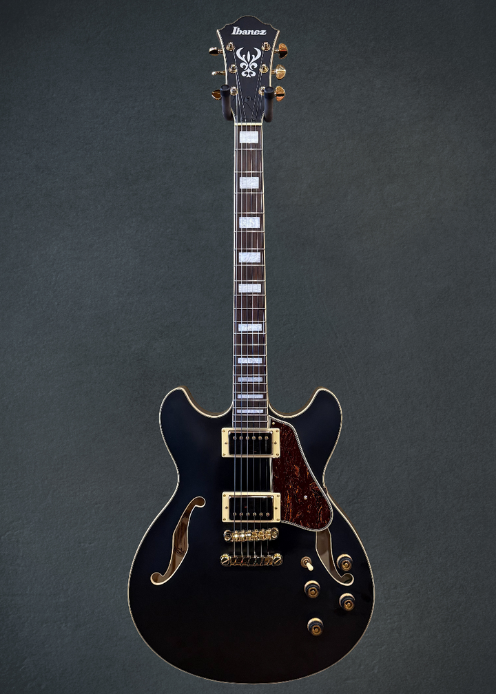 AS73G Semi-hollowbody, Recent