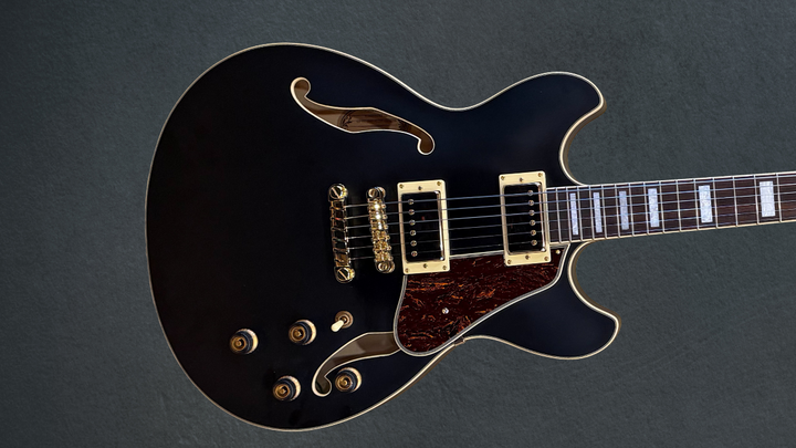 AS73G Semi-hollowbody, Recent