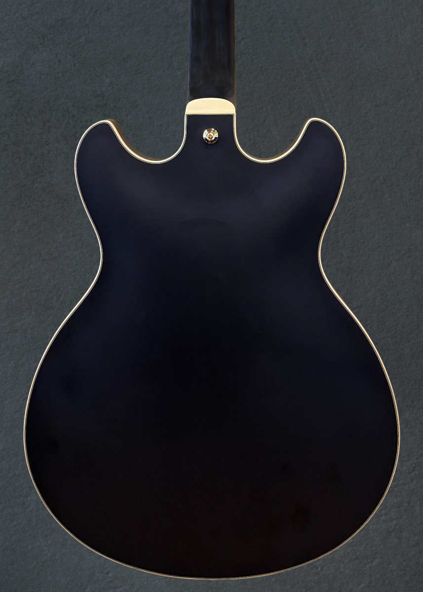 AS73G Semi-hollowbody, Recent