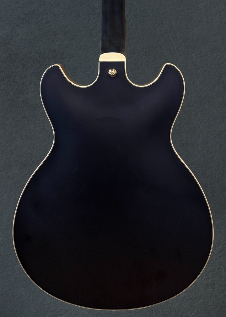 AS73G Semi-hollowbody, Recent