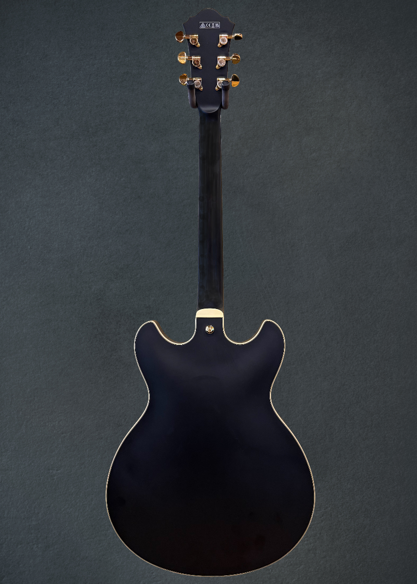 AS73G Semi-hollowbody, Recent