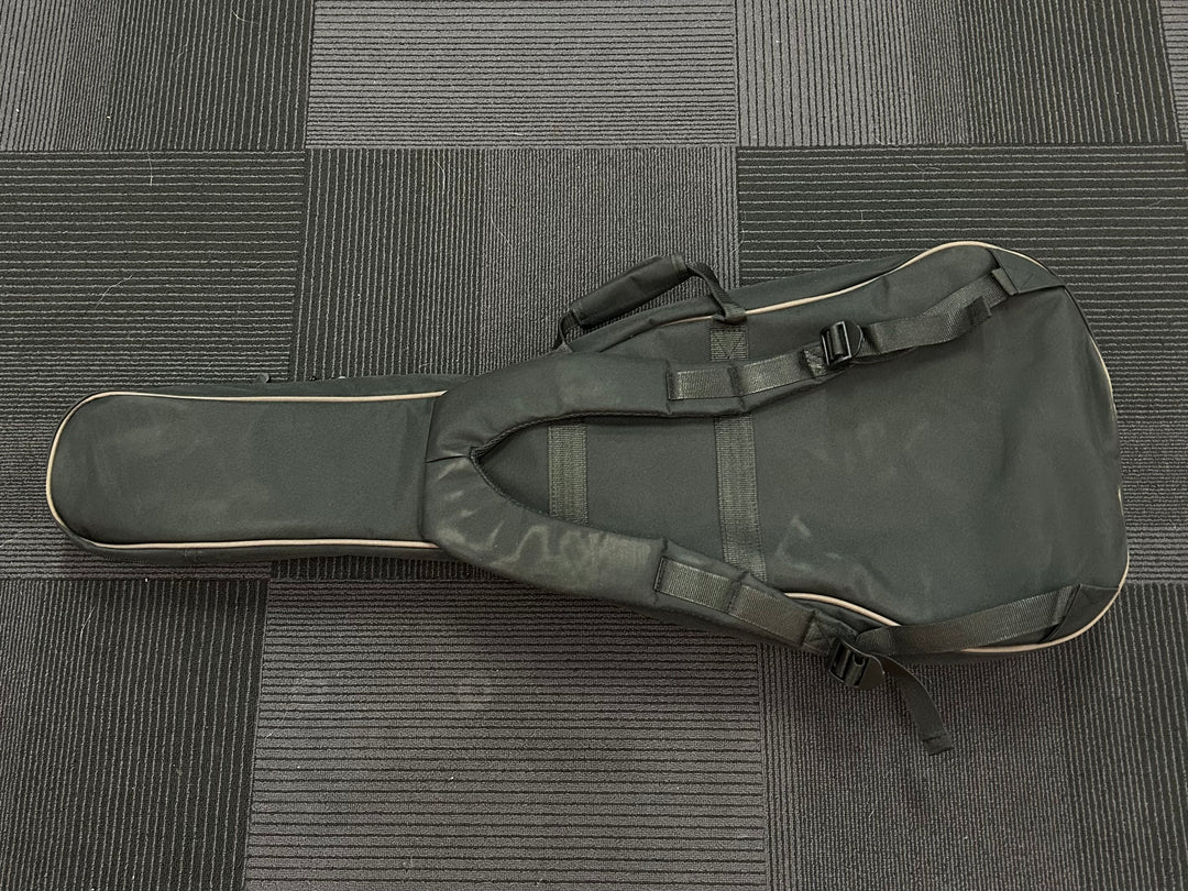 SE Parlor/00 Gigbag, Recent