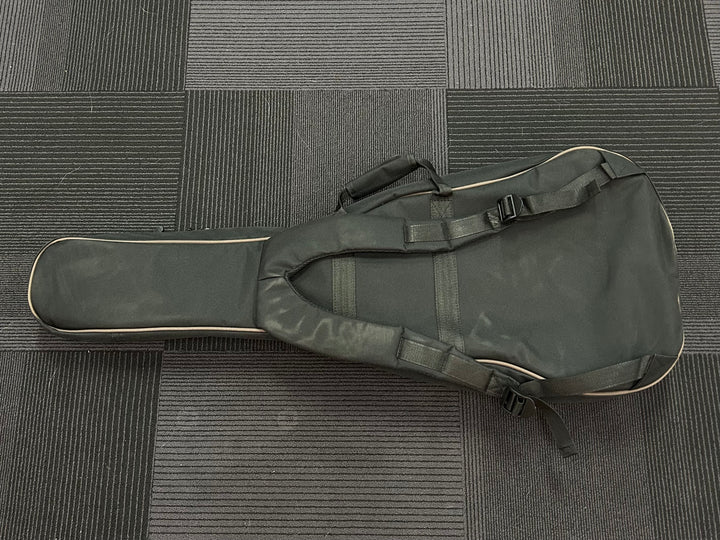 SE Parlor/00 Gigbag, Recent