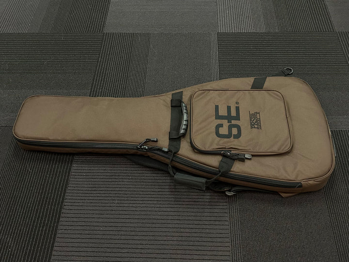 SE Electric Gigbag, Recent