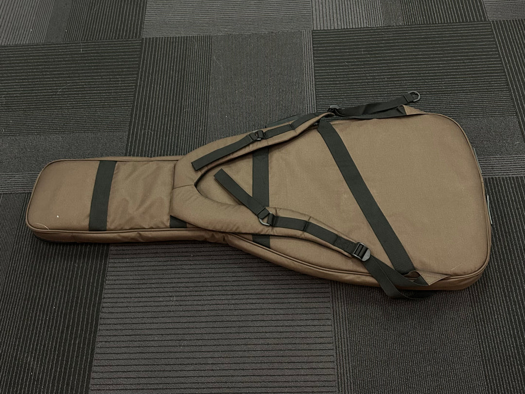 SE Electric Gigbag, Recent