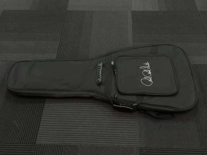 Electric Gigbag, Recent