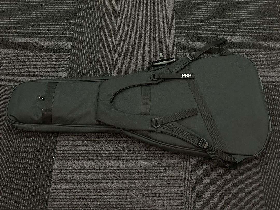 Electric Gigbag, Recent