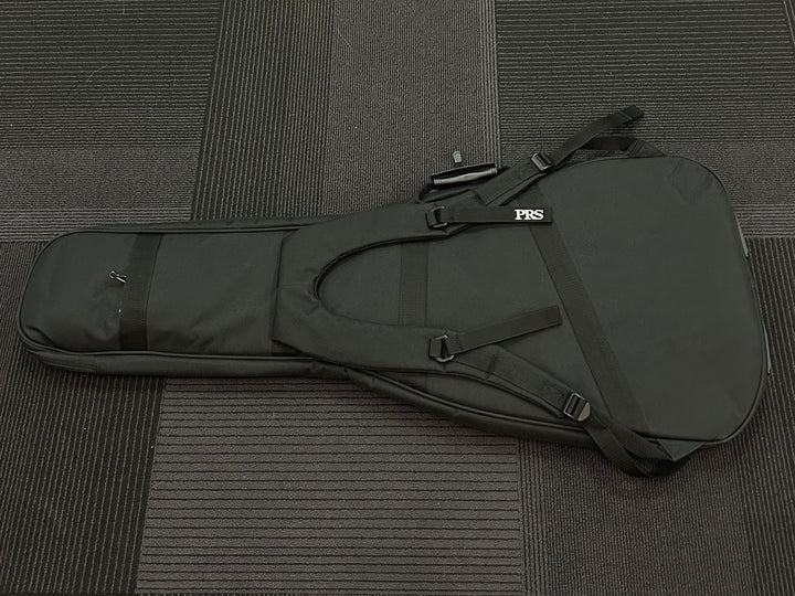 Electric Gigbag, Recent