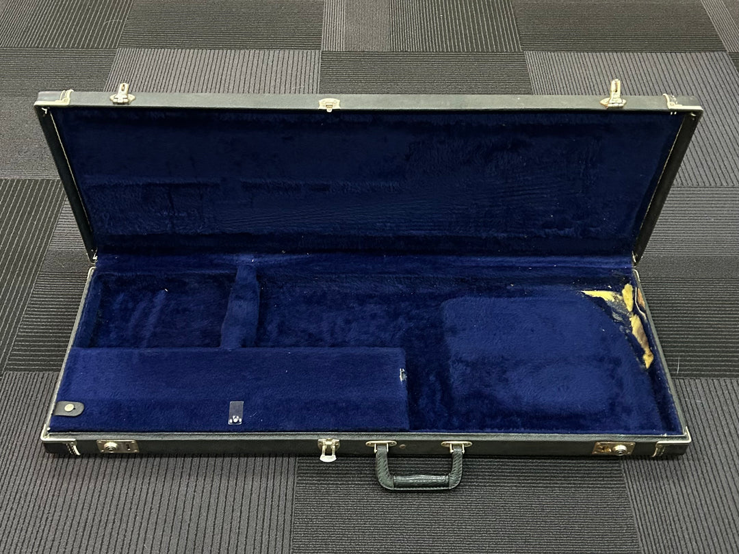 Strat/Tele Case, Recent