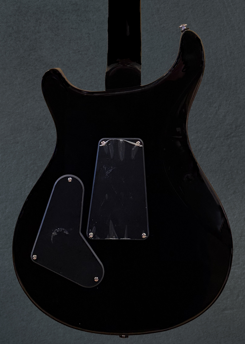 SE Custom 24 "Floyd" '21