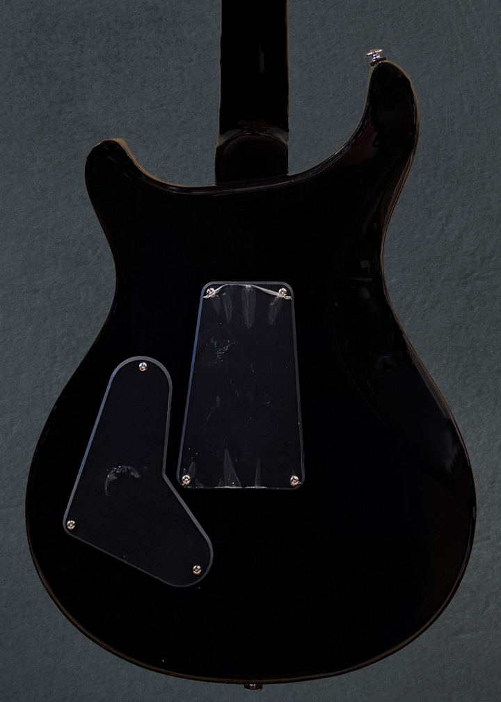 SE Custom 24 "Floyd" '21