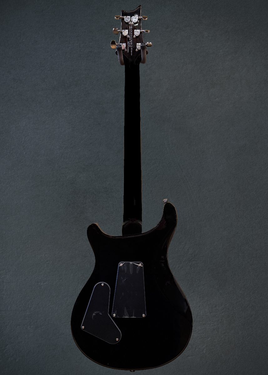 SE Custom 24 "Floyd" '21