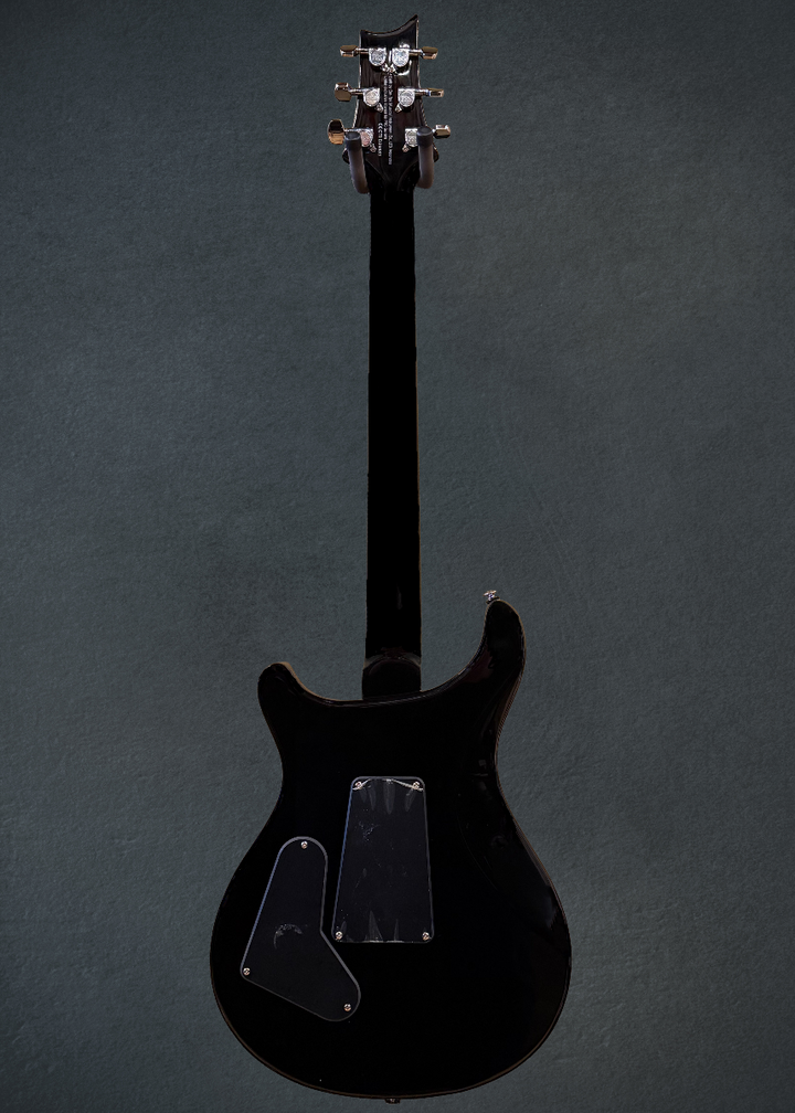 SE Custom 24 "Floyd" '21