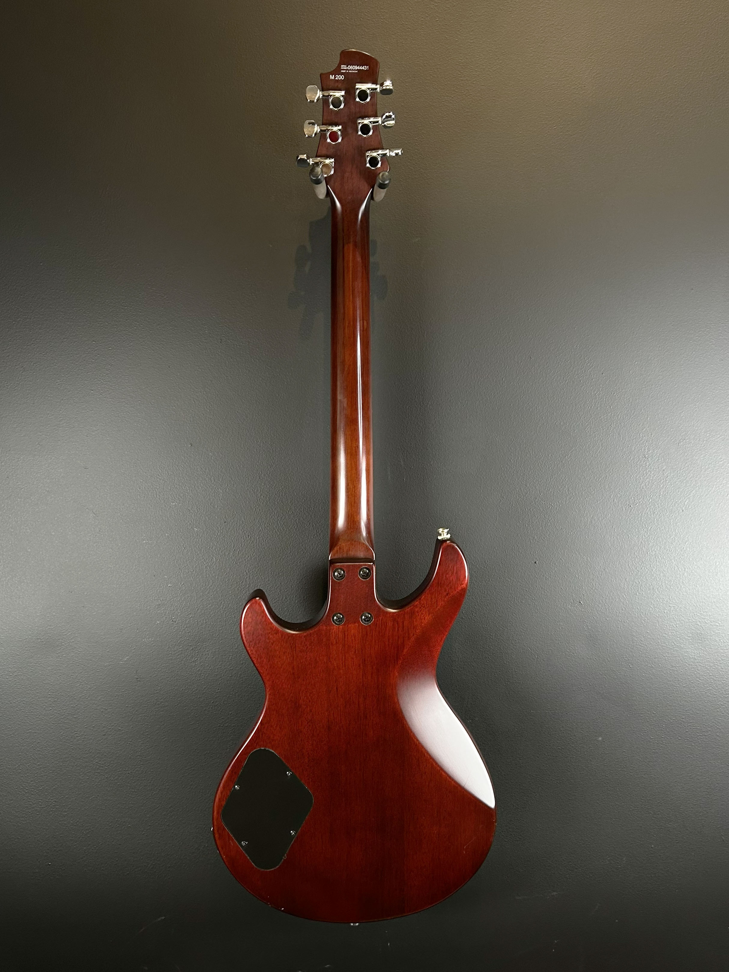 M200, Recent – Dave's Guitar Shop