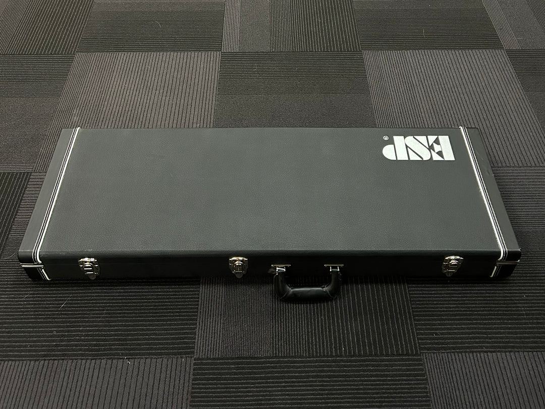MH 8-String Case, Recent