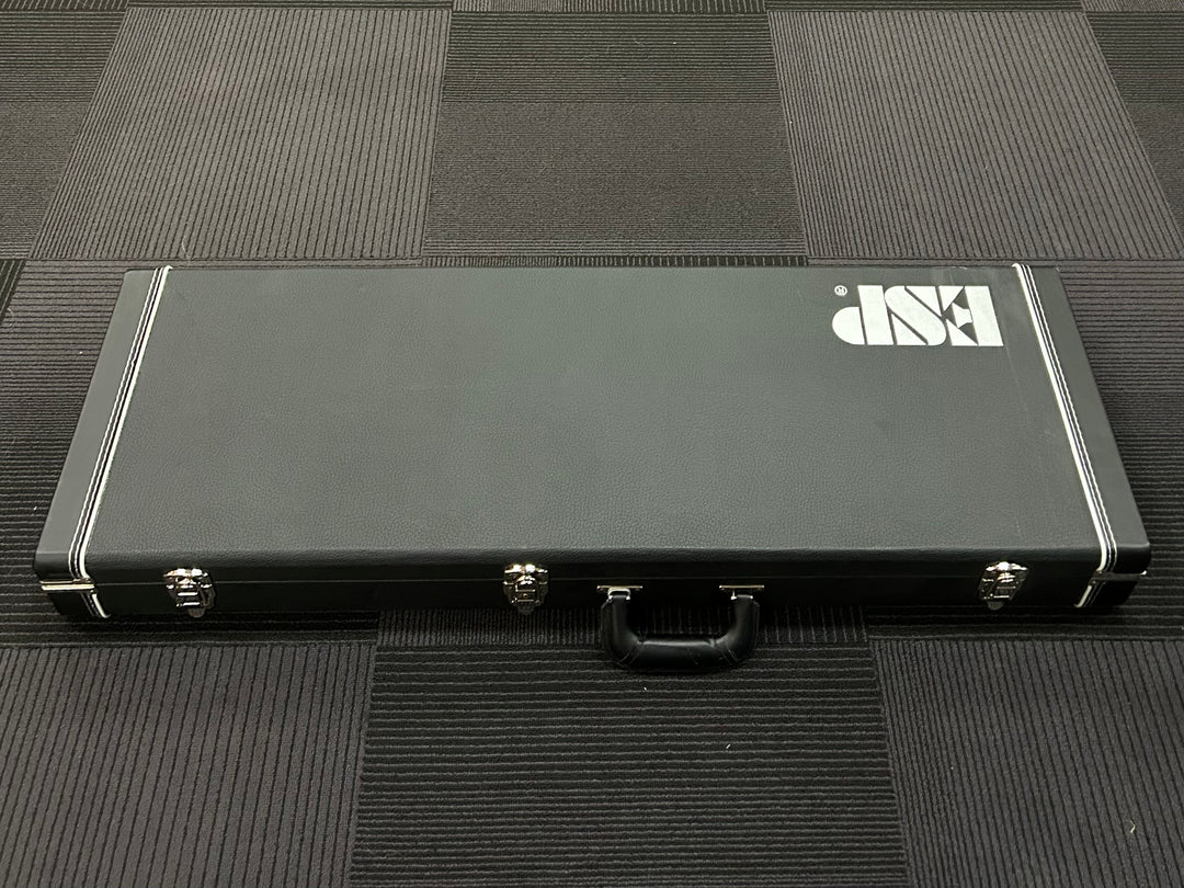 Horizon 3 Case, Recent